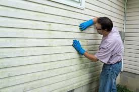 Best Historical Building Siding Restoration  in Auburn, CA